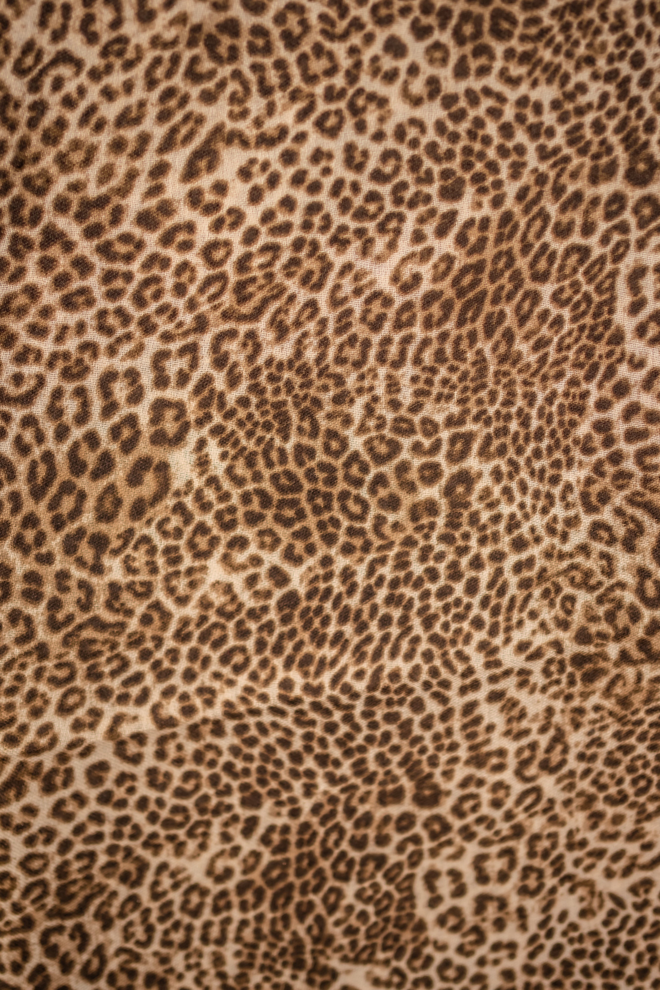 Leichter Schal mit kleinem Leo-Muster