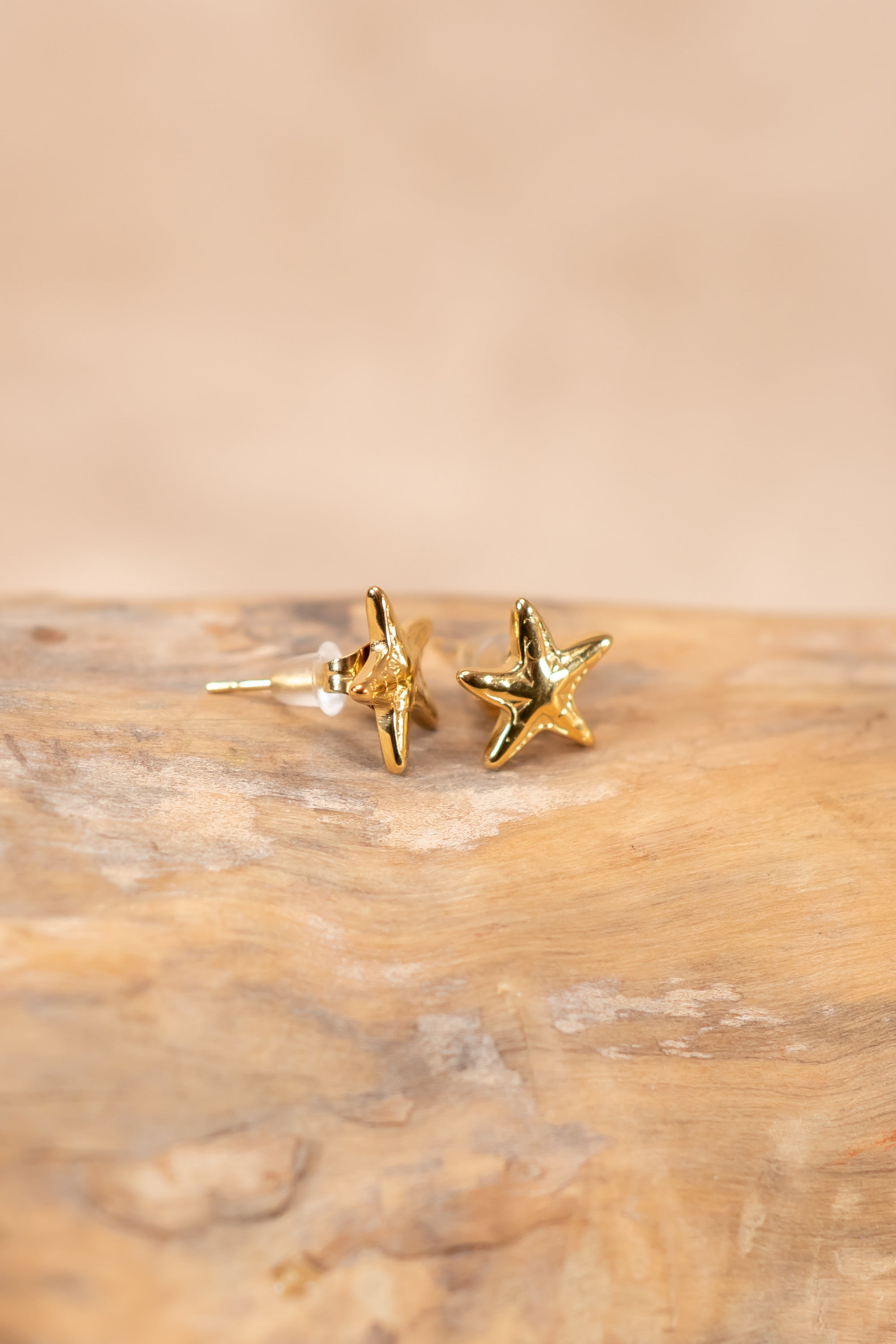 Muschel Ohrstecker, gold