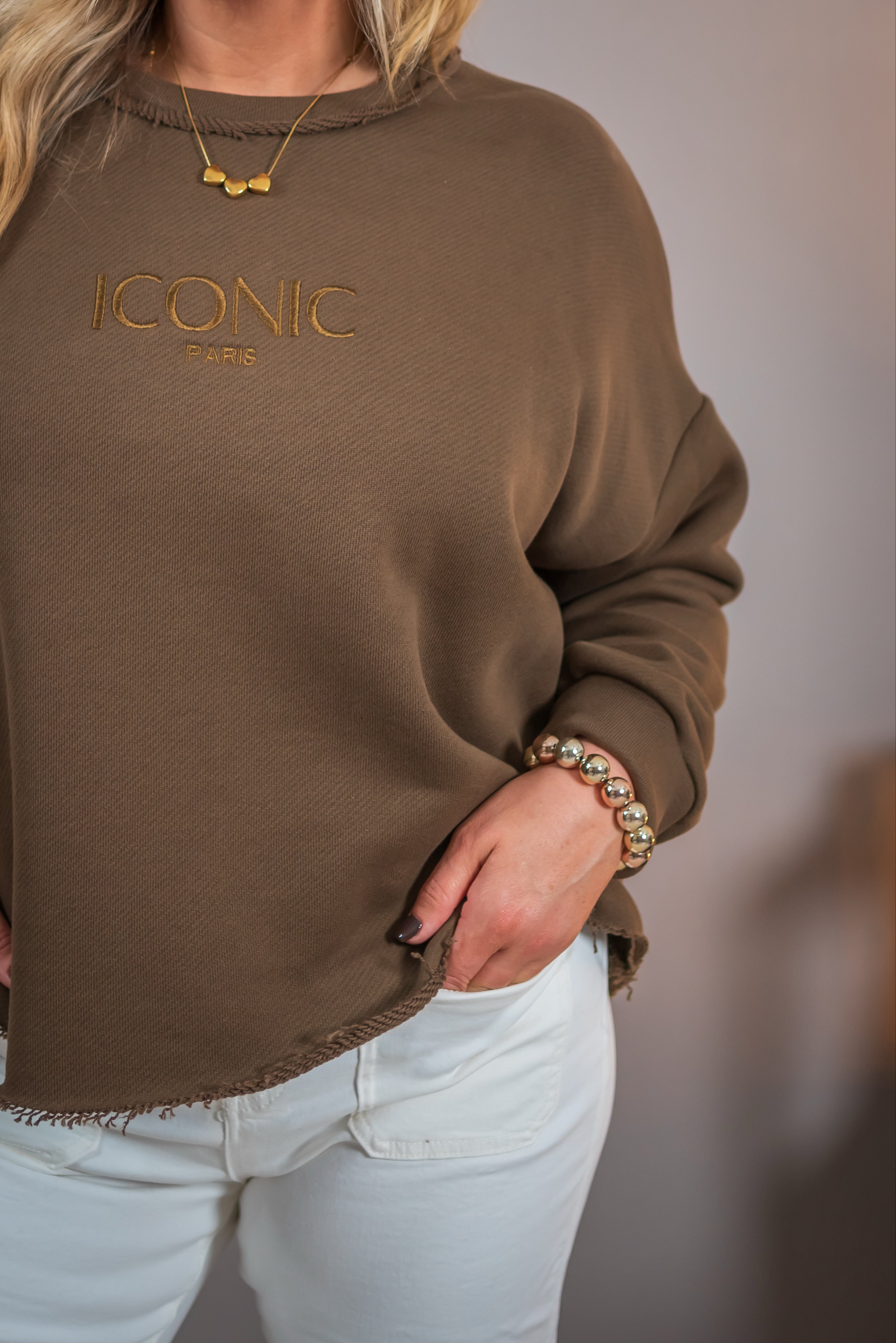 Sweatshirt mit Stickerei, braun