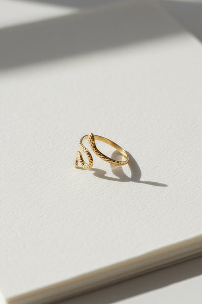 Verstellbarer Snake-Ring