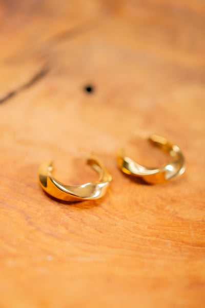 Ohrringe geschwungen, gold