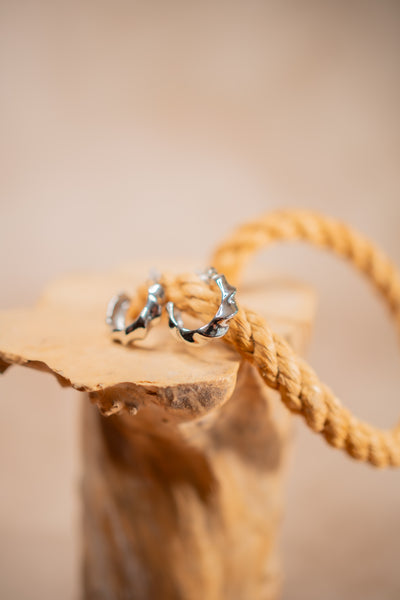 Ohrringe Curvy, silber