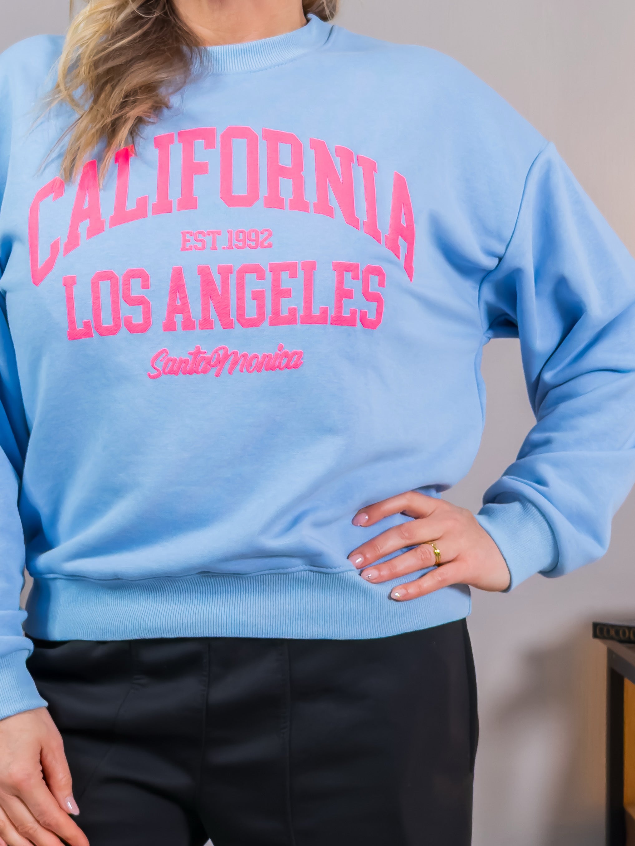 Sweatshirt mit Print, blau/pink