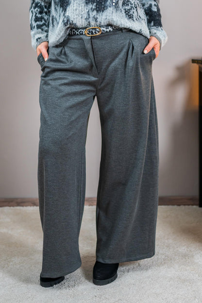 Elegante Stretchhose mit Bundfalten, grau